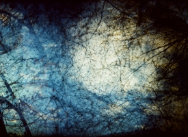 Quintan Ana Wikswo / The Delicate Architecture of Our Galaxy / Archival Inkjet on Hahnemuhle Photo Rag / 40